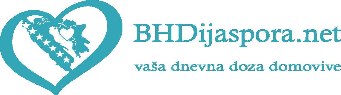 website-improvement-bhdijaspora-net